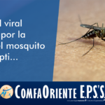 🚩🦟 ¡Todo sobre el dengue! Descubre los mejores banners para combatir esta enfermedad 🚩🦟
